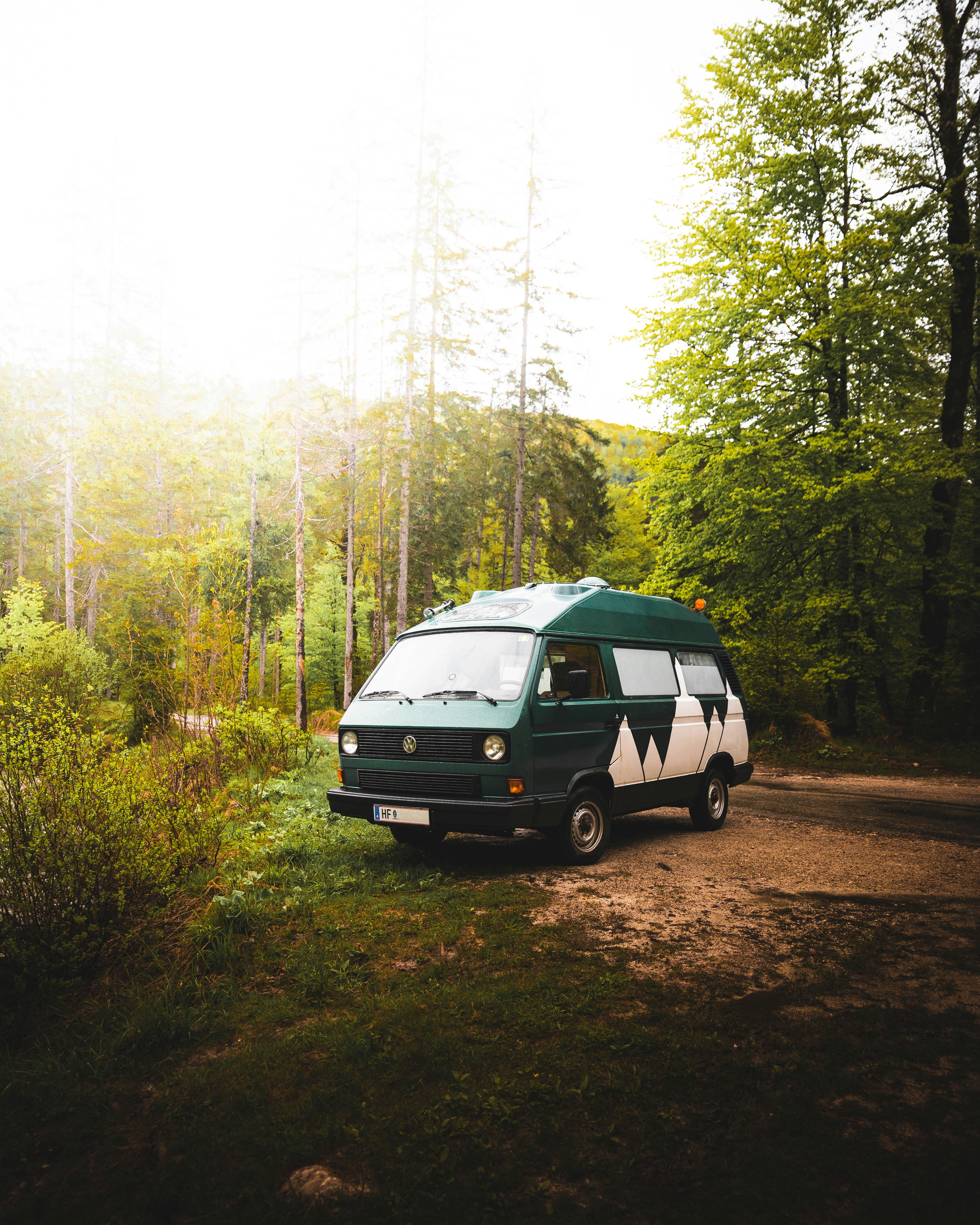 white and black suv on dirt road in between green trees during daytime